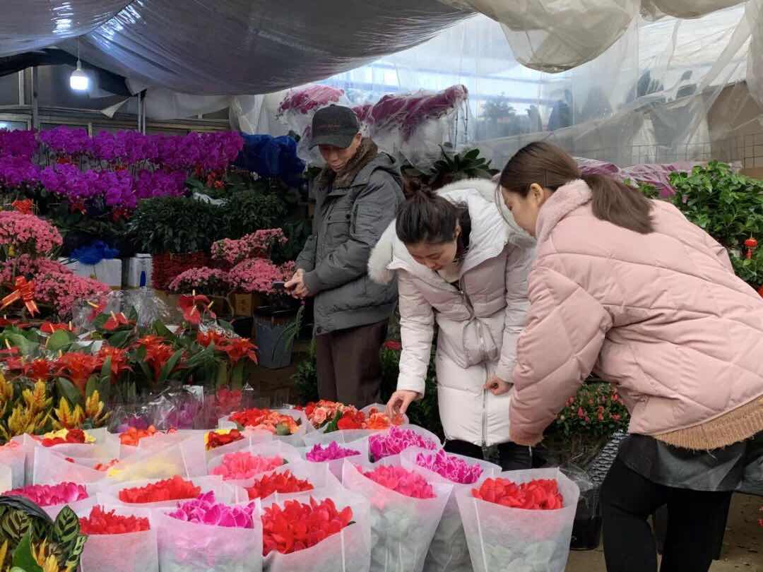 邢台花卉市场里好热闹!